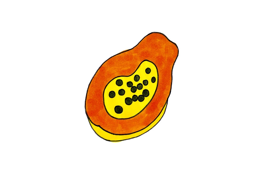 一步一步学画木瓜简笔画