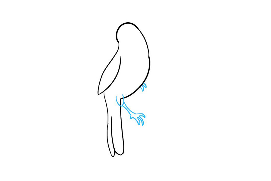 如何画红雀