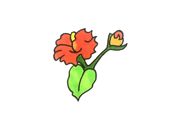 一步一步学画木棉花简笔画