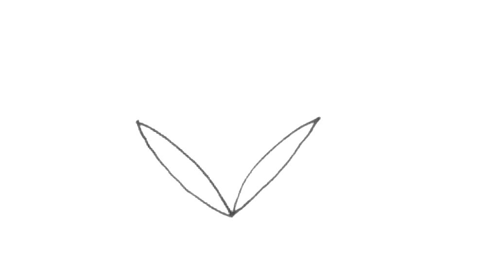 香蒲简笔画画法教程
