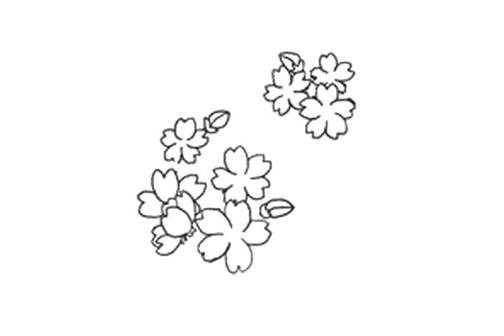 樱花的详细画法图解