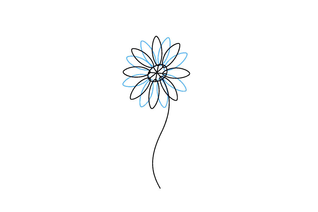 如何画雏菊花简笔画步骤