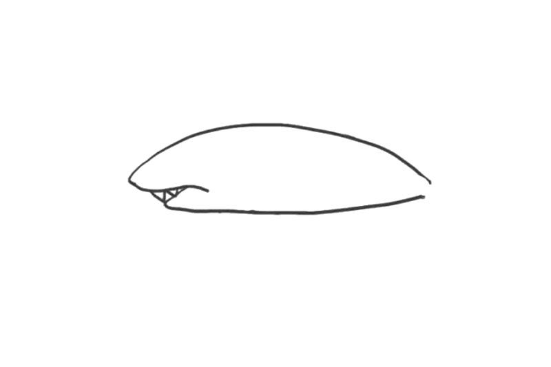 海洋生物鲨鱼简笔画画法步骤