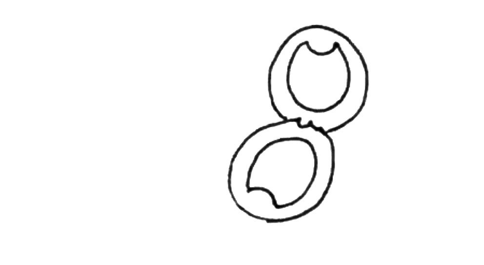 粉饼简笔画画法步骤