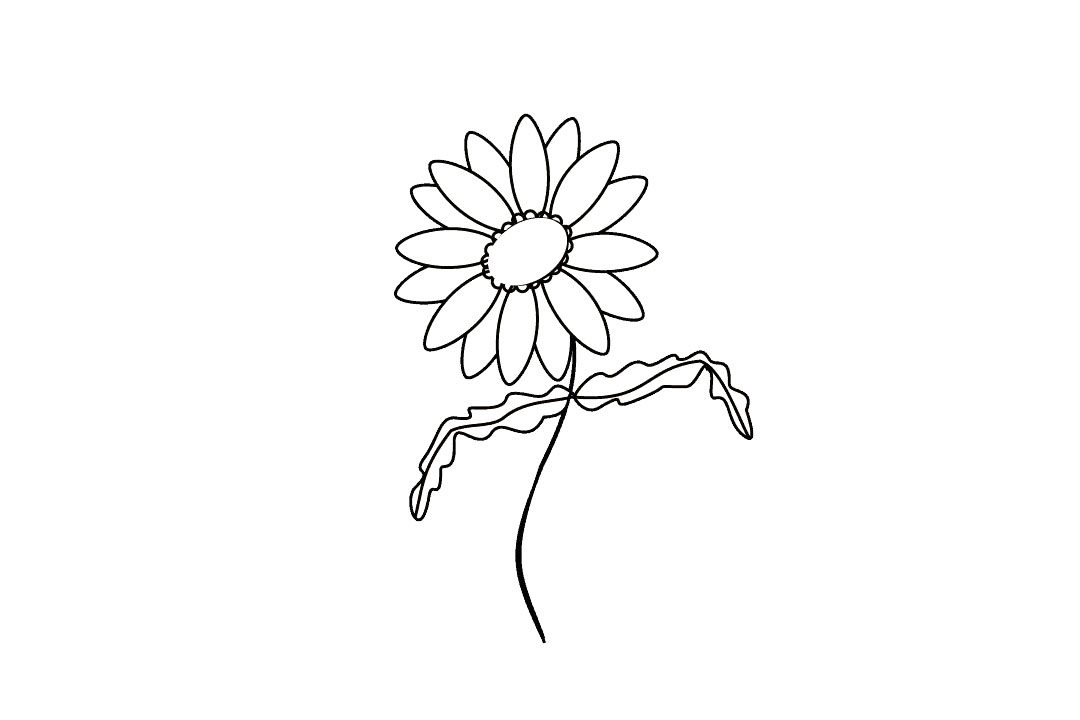 如何画雏菊花简笔画步骤