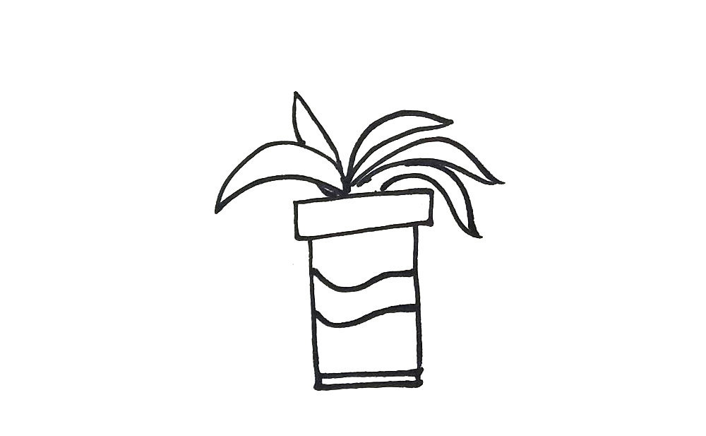 漂亮的植物盆栽简笔画