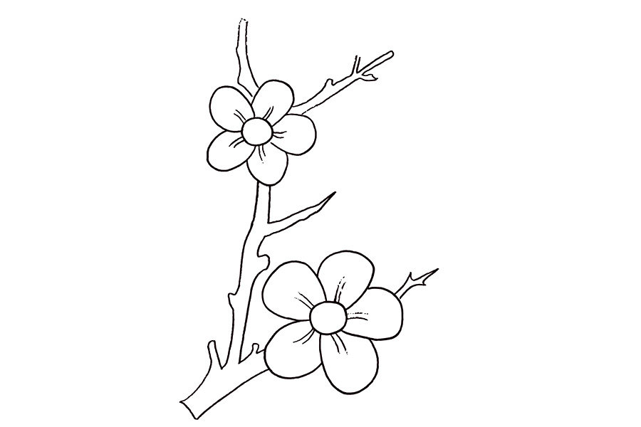 桃花简笔画画法步骤