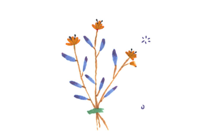 六张美丽的花花简笔画图片