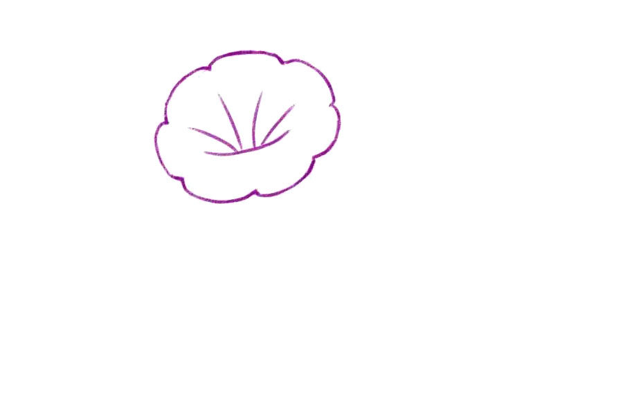 简单几笔画一朵美丽的牵牛花