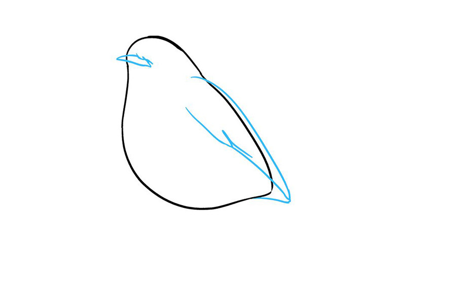 如何画知更鸟简笔画画法