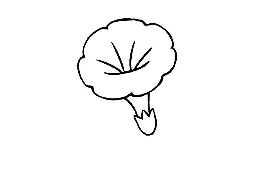 五彩缤纷的牵牛花怎么画