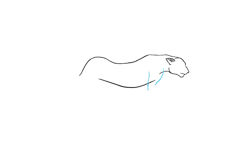 如何画猎豹