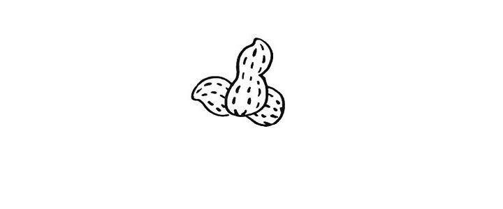 花生简笔画画法步骤