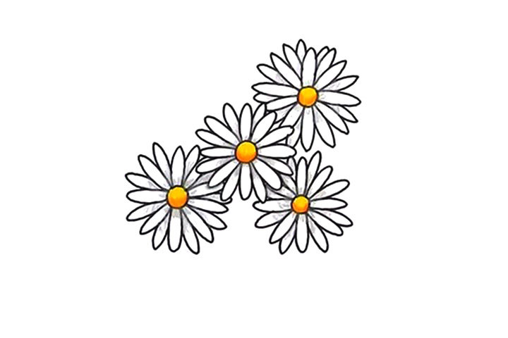 清明节画束菊花简笔画画法