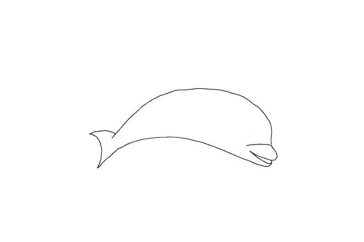 海豚简笔画画法教程
