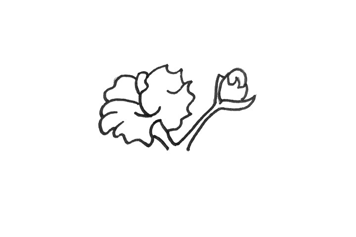一步一步学画木棉花简笔画