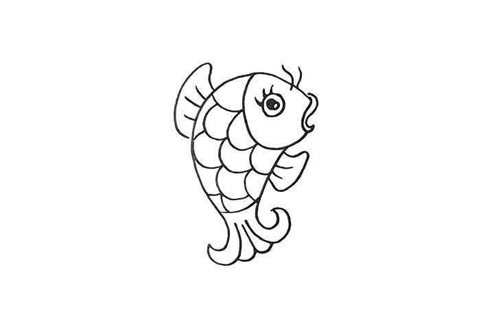 鲤鱼简笔画画法步骤