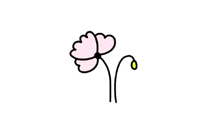可爱小花虞美人简笔画教程