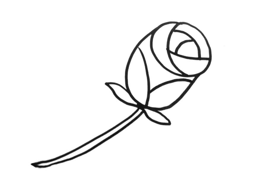 粉色玫瑰花怎么画