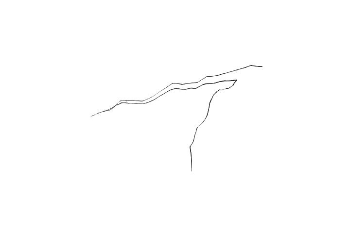 桃树简笔画画法步骤