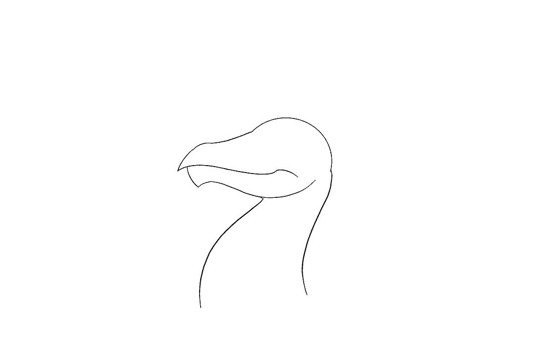如何画龙首简笔画