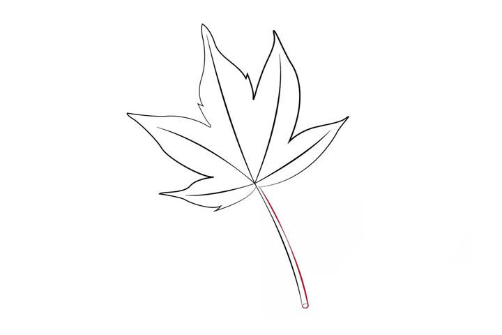 枫叶简笔画画法步骤