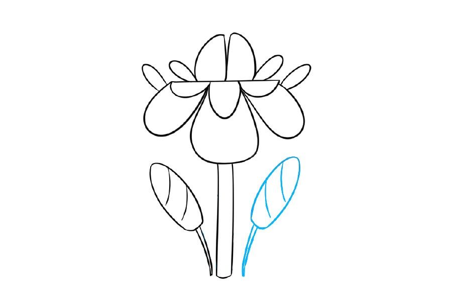 漂亮的小花简笔画画法步骤