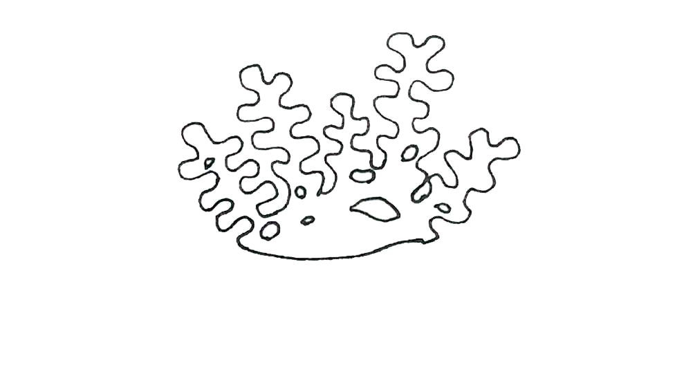 珊瑚简笔画教程