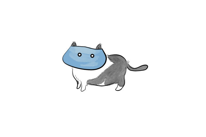 口罩猫简笔画画法步骤