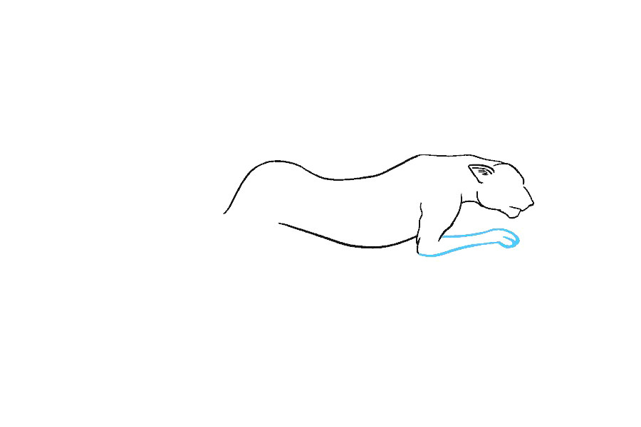 如何画猎豹