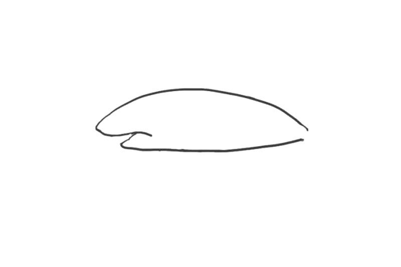 海洋生物鲨鱼简笔画画法步骤