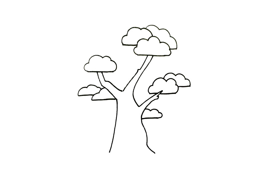 植物简笔画大全 松柏怎么画