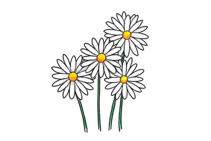 清明节画束菊花简笔画画法