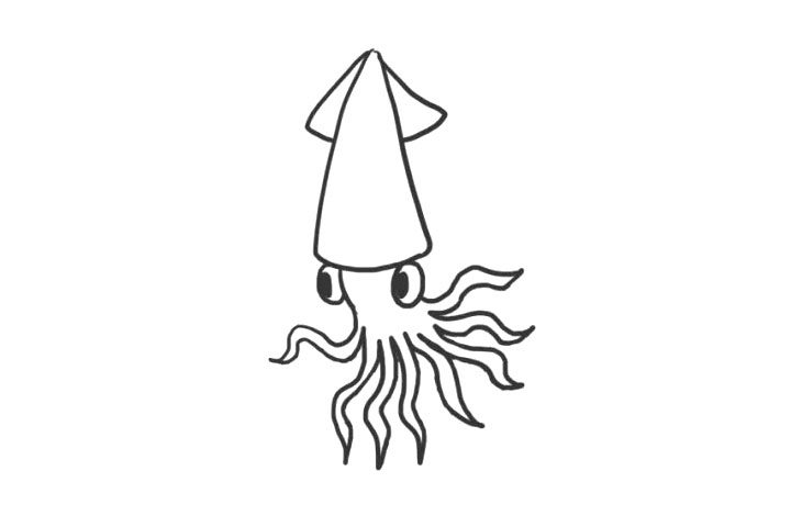 海洋生物乌贼简笔画怎么画
