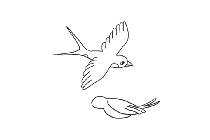 关于小燕子简笔画画法步骤