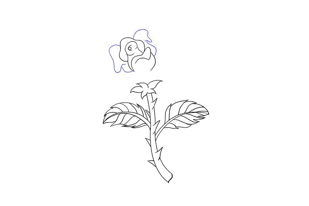 如何画一朵漂亮的玫瑰花