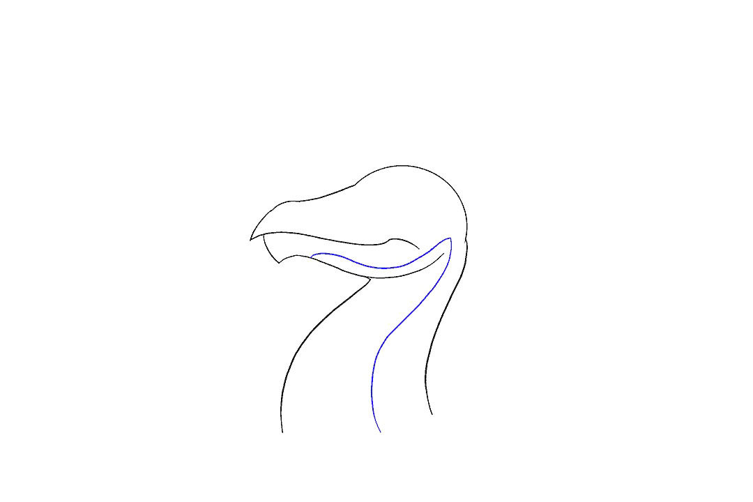 如何画龙首简笔画