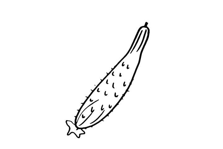 黄瓜简笔画画法步骤