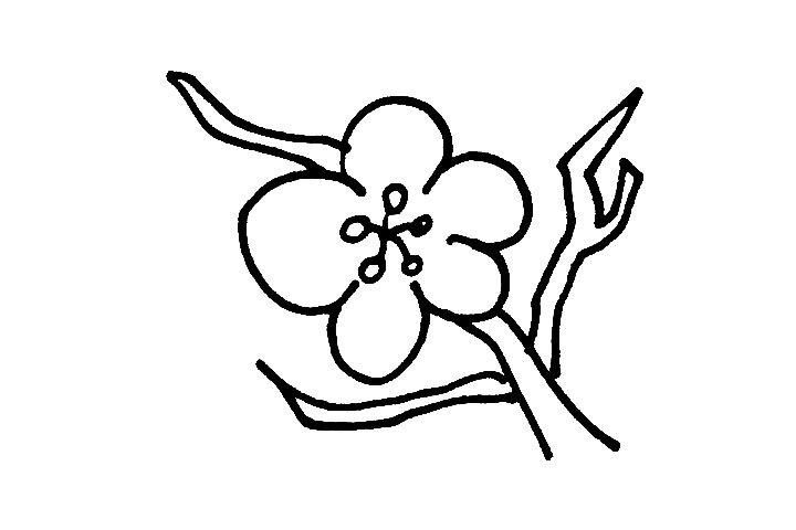腊梅简笔画画法步骤
