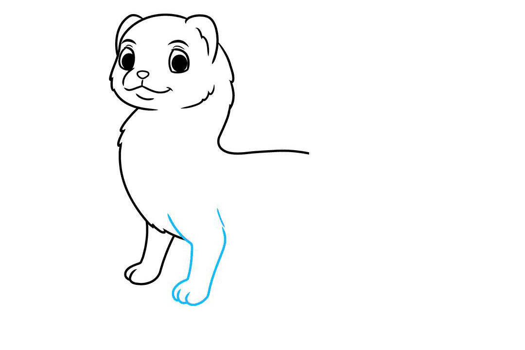雪貂怎么画