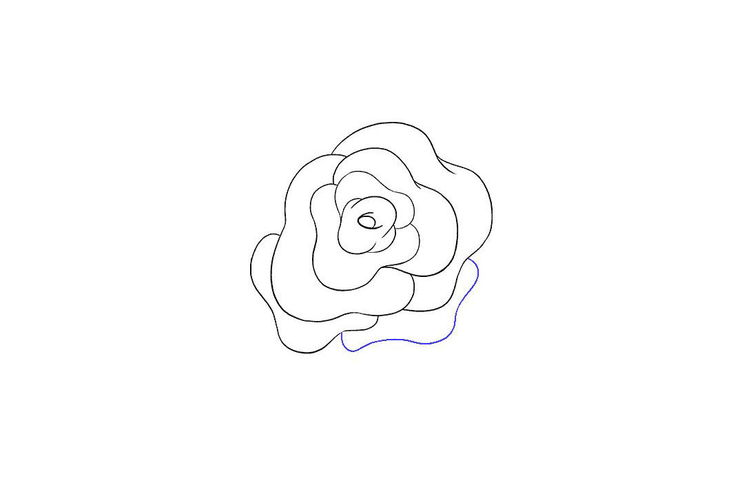 如何画玫瑰花简笔画
