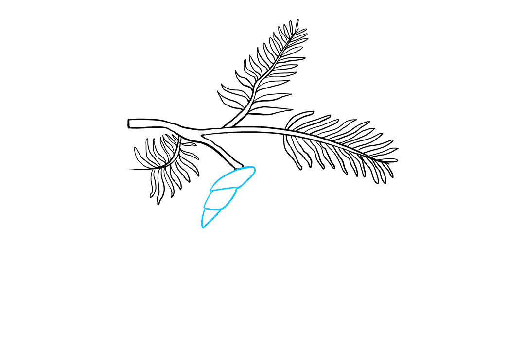 如何画松果简笔画