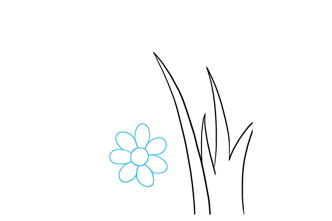 路边的野花怎么画