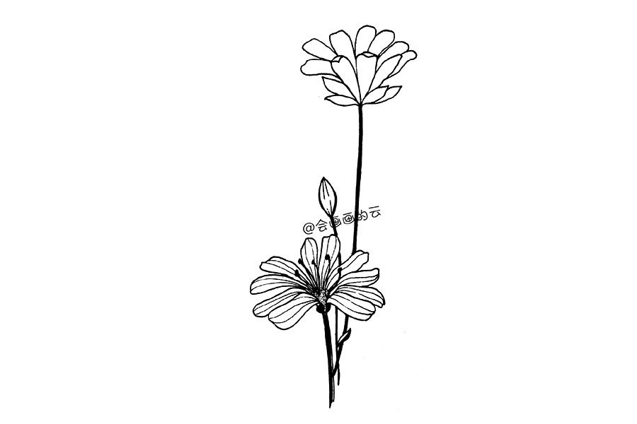 零基础简笔画 一朵漂亮的小花花