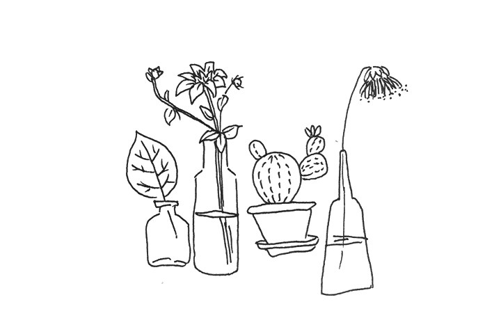 一组漂亮的植物简笔画图片