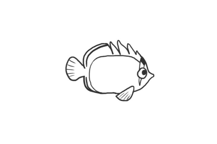 海里的鱼蝴蝶鱼简笔画画法步骤
