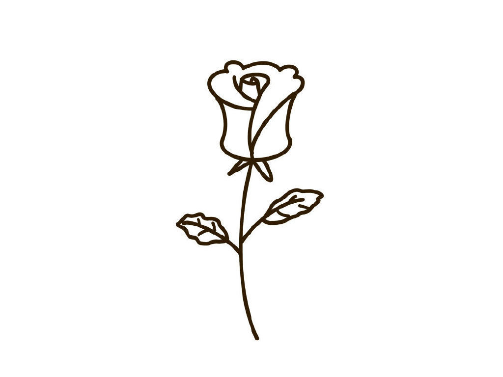 玫瑰花简笔画教程