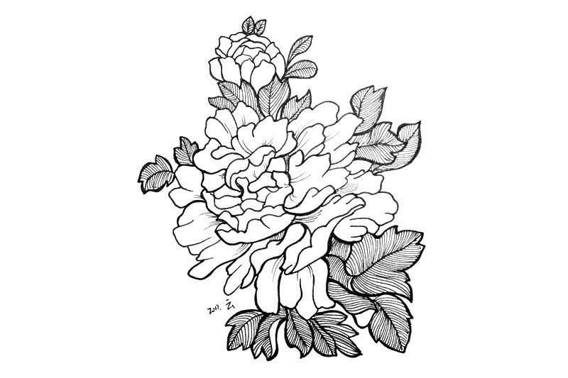 一组漂亮的小花简笔画图片
