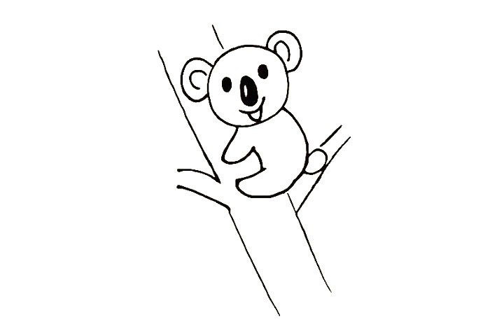 树袋熊简笔画画法步骤