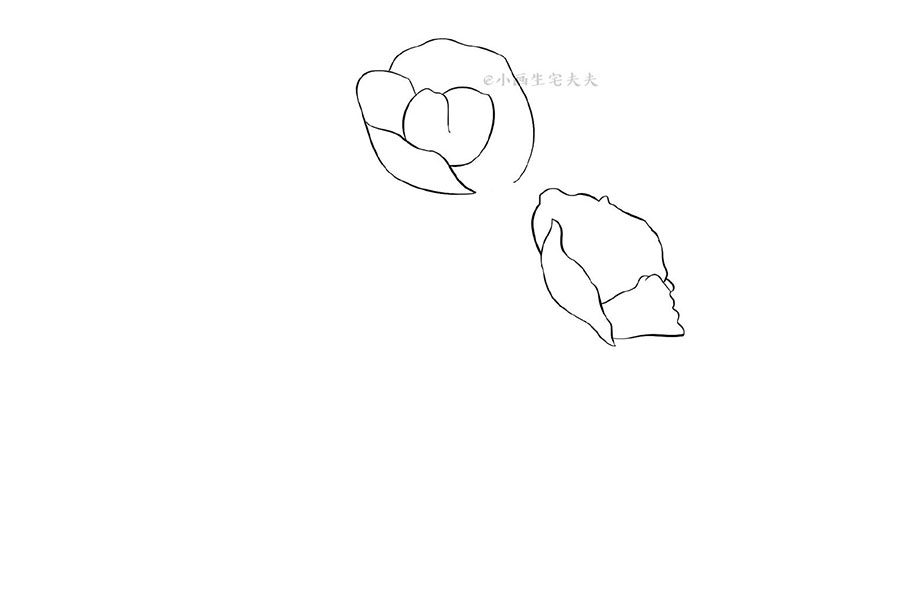 画一株代表死亡的罂粟花 禁毒日简笔画绘画素材